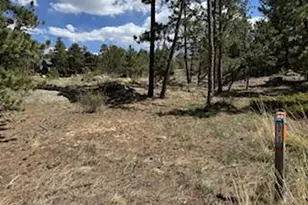 2215 Fox Acres Dr E, Red Feather Lakes, CO 80545 - Photo 30