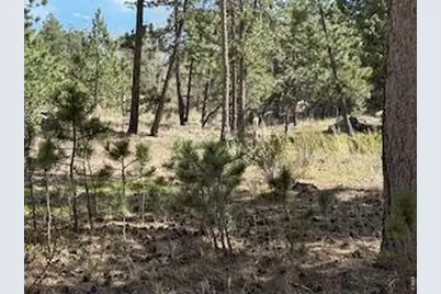 2215 Fox Acres Dr E, Red Feather Lakes, CO 80545 - Photo 32