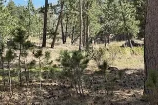2215 Fox Acres Dr E, Red Feather Lakes, CO 80545 - Photo 32