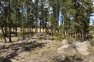 2215 Fox Acres Dr E, Red Feather Lakes, CO 80545 - Photo 24
