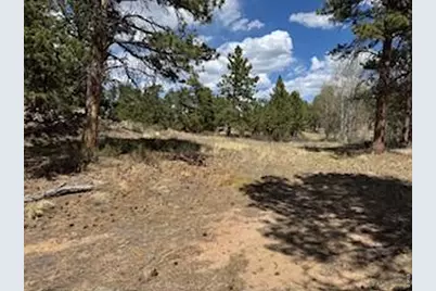 2215 Fox Acres Dr E, Red Feather Lakes, CO 80545 - Photo 16