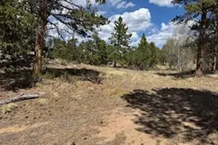 2215 Fox Acres Dr E, Red Feather Lakes, CO 80545 - Photo 16