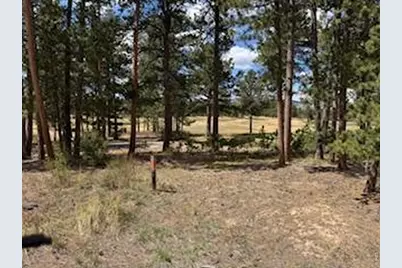 2215 Fox Acres Dr E, Red Feather Lakes, CO 80545 - Photo 28