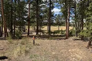 2215 Fox Acres Dr E, Red Feather Lakes, CO 80545 - Photo 28