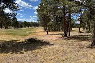 2215 Fox Acres Dr E, Red Feather Lakes, CO 80545 - Photo 14