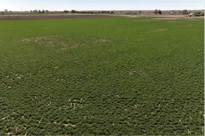 County Road 66, Greeley, CO 80631 - Photo 22