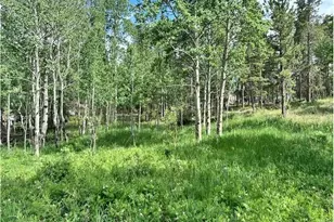 293 Aspen Cir, Black Hawk, CO 80422 - Photo 1