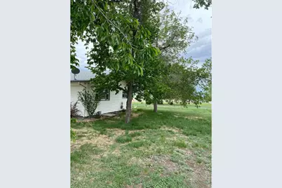 9735 County Road 7, Longmont, CO 80504 - Photo 2