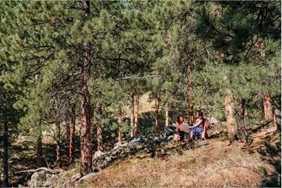 695 Cutter Ln, Boulder, CO 80302 - Photo 6