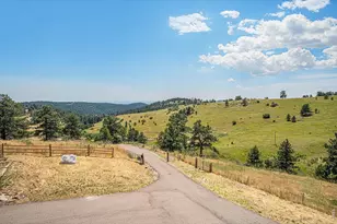 27033 Thea Gulch Rd, Golden, CO 80403 - Photo 28