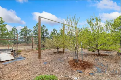 4608 Norwood Ave, Loveland, CO 80538 - Photo 38