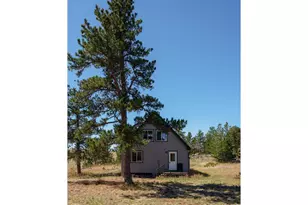 255 Elk Park Rd, Livermore, CO 80536 - Photo 8