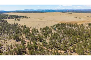 255 Elk Park Rd, Livermore, CO 80536 - Photo 4