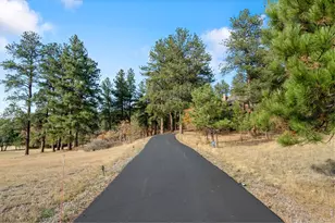 10691 Tomichi Dr, Franktown, CO 80116 - Photo 4