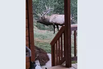 96 Lone Wolf Rd, Loveland, CO 80537 - Photo 34