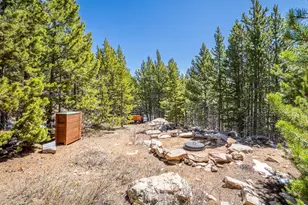 1732 Jicarilla Trail, Red Feather Lakes, CO 80545 - Photo 36