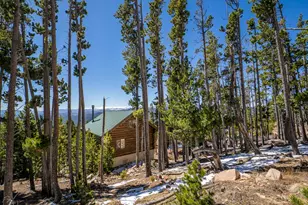 1732 Jicarilla Trail, Red Feather Lakes, CO 80545 - Photo 40