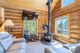 1732 Jicarilla Trail, Red Feather Lakes, CO 80545 - Photo 14