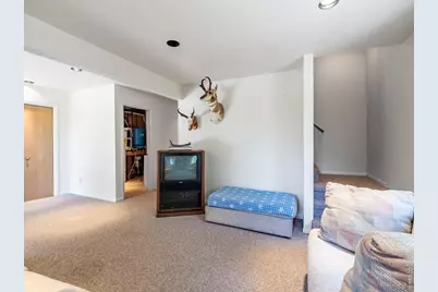 1732 Jicarilla Trl, Red Feather Lakes, CO 80545 - Photo 32