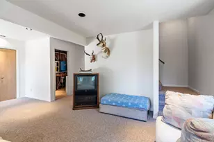 1732 Jicarilla Trail, Red Feather Lakes, CO 80545 - Photo 32