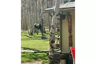 1746 Lump Gulch Rd, Black Hawk, CO 80422 - Photo 22