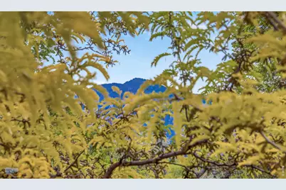 2663 Grapewood Ln, Boulder, CO 80304 - Photo 24