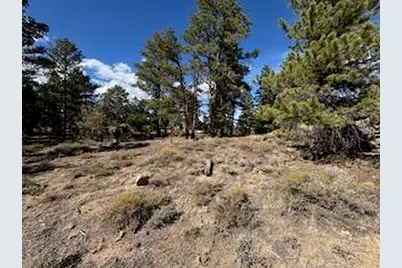 2921 Fox Acres Dr E, Red Feather Lakes, CO 80545 - Photo 22