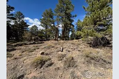 2921 Fox Acres Dr E, Red Feather Lakes, CO 80545 - Photo 8