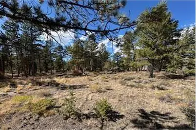 2921 Fox Acres Dr E, Red Feather Lakes, CO 80545 - Photo 6