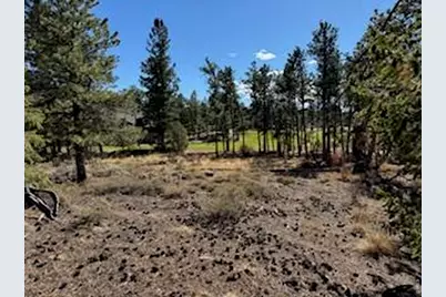 2921 Fox Acres Dr E, Red Feather Lakes, CO 80545 - Photo 24