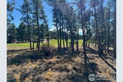 2921 Fox Acres Dr E, Red Feather Lakes, CO 80545 - Photo 4