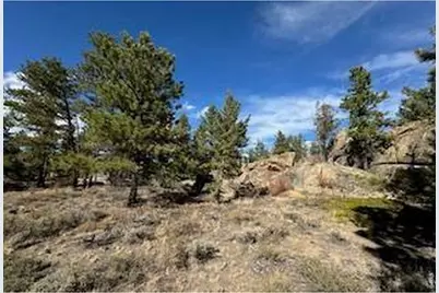 2921 Fox Acres Dr E, Red Feather Lakes, CO 80545 - Photo 10