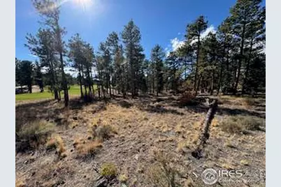 2921 Fox Acres Dr E, Red Feather Lakes, CO 80545 - Photo 12