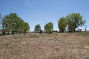 18080 County Road 1, Berthoud, CO 80513 - Photo 48