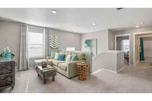5684 Gelbray Pl, Windsor, CO 80528 - Photo 14