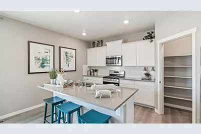 5684 Gelbray Pl, Windsor, CO 80528 - Photo 10