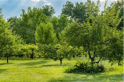 500 Apple Blossom Ln, Fort Collins, CO 80526 - Photo 6