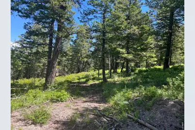 107 Cavesson Ct, Edwards, CO 81632 - Photo 2
