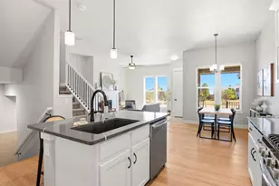6241 Vernazza Way, Windsor, CO 80550 - Photo 16