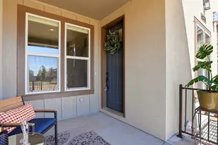 6241 Vernazza Way, Windsor, CO 80550 - Photo 4
