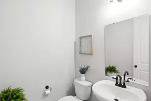 6241 Vernazza Way, Windsor, CO 80550 - Photo 22