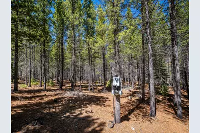 591 Tuscarora Way, Red Feather Lakes, CO 80545 - Photo 4