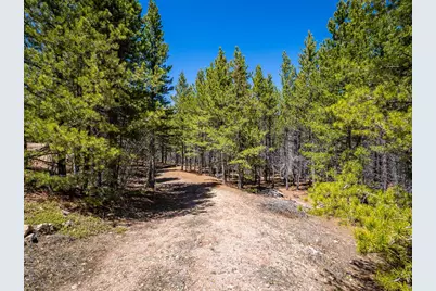 591 Tuscarora Way, Red Feather Lakes, CO 80545 - Photo 8