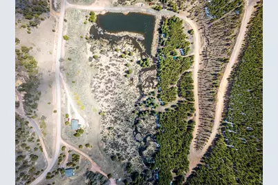 591 Tuscarora Way, Red Feather Lakes, CO 80545 - Photo 18