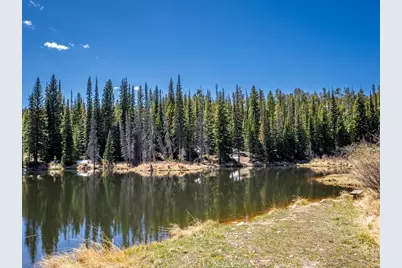 591 Tuscarora Way, Red Feather Lakes, CO 80545 - Photo 28