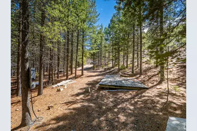 591 Tuscarora Way, Red Feather Lakes, CO 80545 - Photo 2