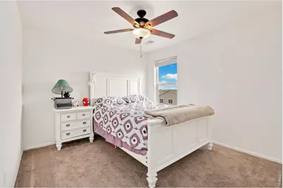 1072 Long Meadows St, Severance, CO 80550 - Photo 26