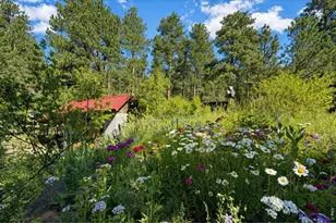 2508 Riverside Dr, Lyons, CO 80540 - Photo 16