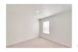 812 Trumpet Ln, Windsor, CO 80550 - Photo 16