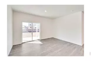 812 Trumpet Ln, Windsor, CO 80550 - Photo 4